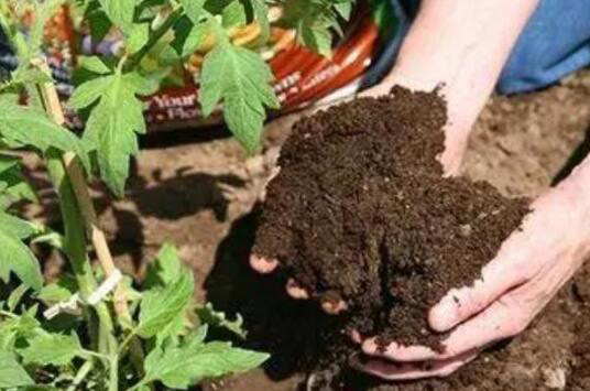 (圖:氨基酸肥應(yīng)用場景)