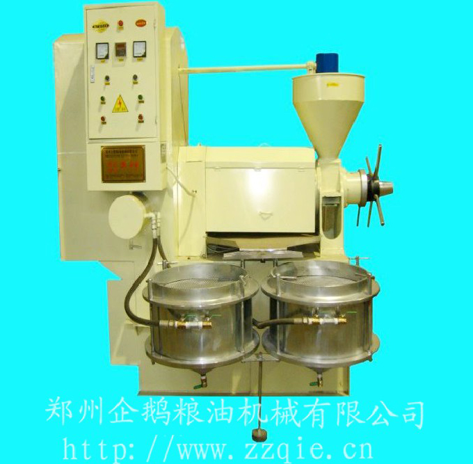 鄭州企鵝，三十年風(fēng)雨路(圖1)