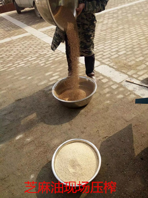 想買臺小型榨油機怕上當，又不知道哪家好？(圖1)