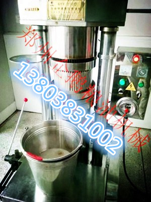 各種廠家生產(chǎn)的小型榨油機(jī)各有千秋(圖1)
