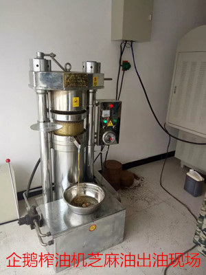 企鵝榨油機(jī)廠家教你如何分辨花生油好壞(圖1) 企鵝榨油機(jī)廠家教你如何分辨花生油好壞(圖1)