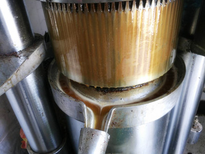 投資榨油坊項(xiàng)目有哪些優(yōu)勢(shì)(圖1)