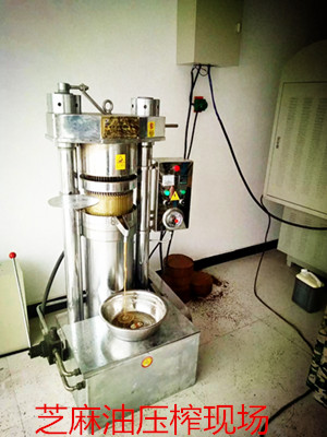 為什么榨油機會出現(xiàn)堵塞？有什么排除方法？(圖1)