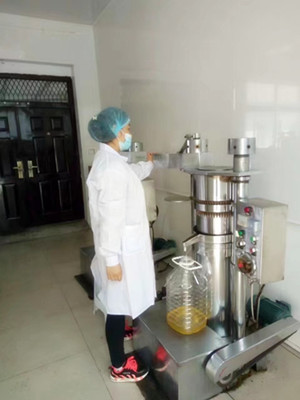 買小型榨油機設(shè)備都要注意哪些問題？(圖2)