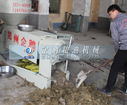 菜籽榨油機(jī)工作過程(圖1) 菜籽榨油機(jī)工作過程(圖1)