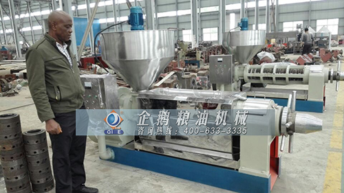 為什么說榨油機(jī)能榨出致富路(圖1)